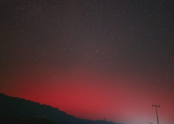 Imagen - 2025-11-12t105156499 - Regios Al Cuadrado - Regios Al Cuadrado