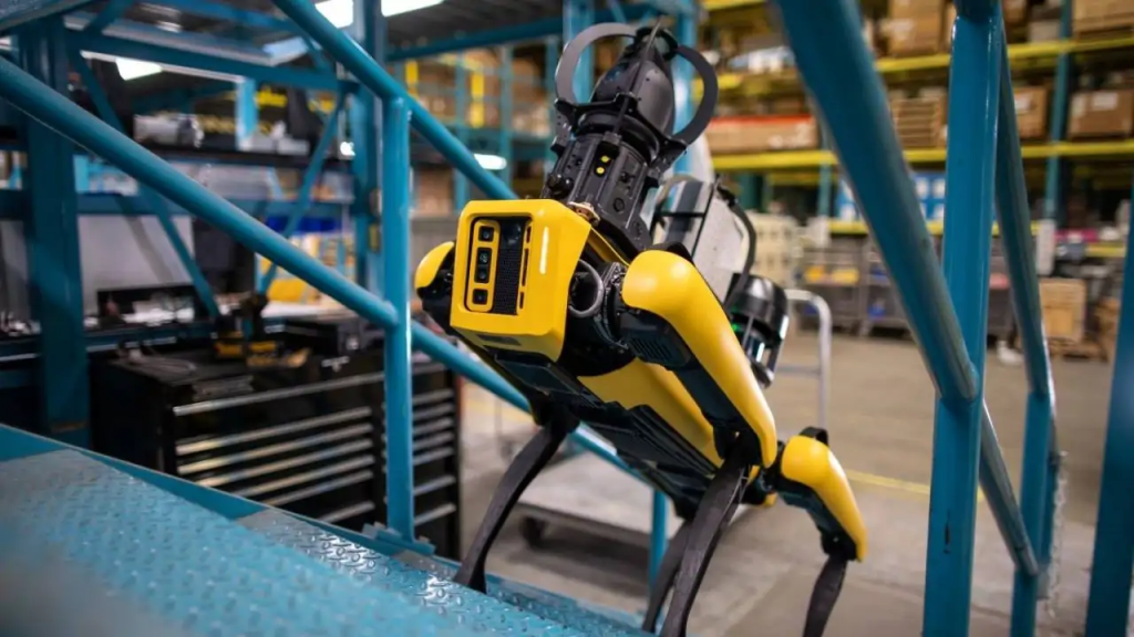 Roboperros-de-hong-kong-medio-ambiente-inteligencia-artificial